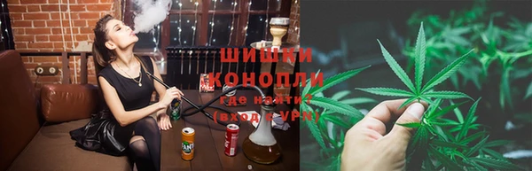 стаф Верея