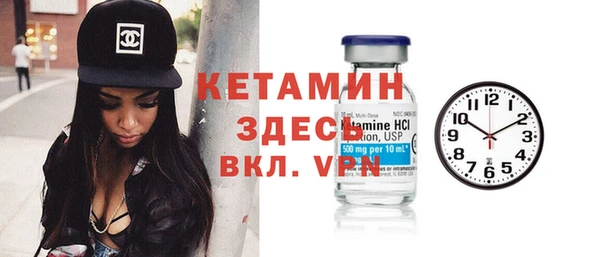 прущие грибы Бородино