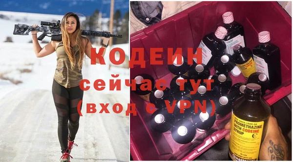 стаф Верея