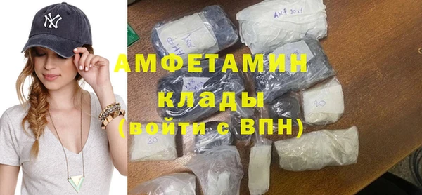 стаф Верея