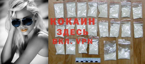 прущие грибы Бородино