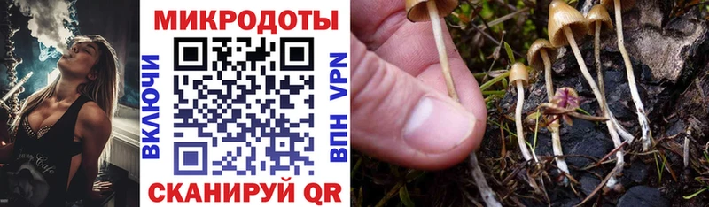 Псилоцибиновые грибы MAGIC MUSHROOMS Видное