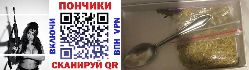 Бошки марихуана сатива  как найти наркотики  hydra как войти  Видное 